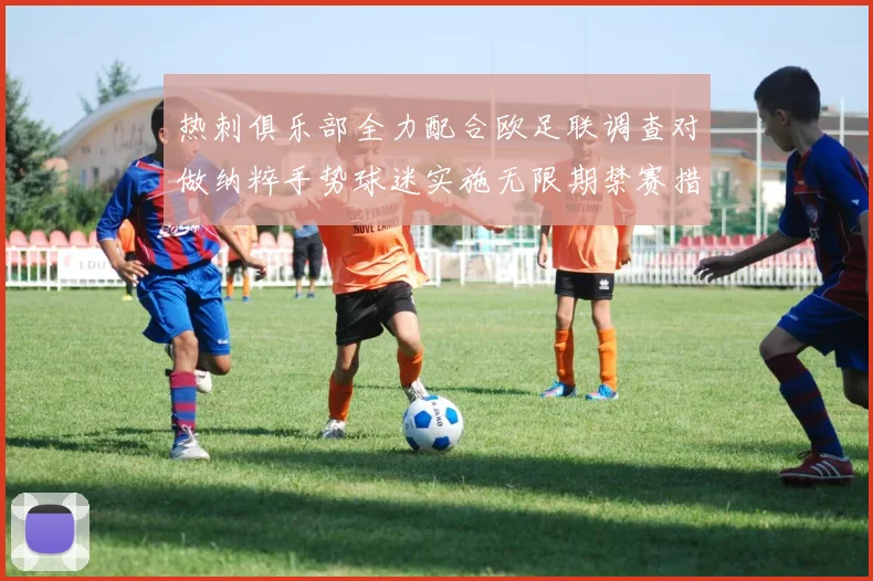 热刺俱乐部全力配合欧足联调查对做纳粹手势球迷实施无限期禁赛措施