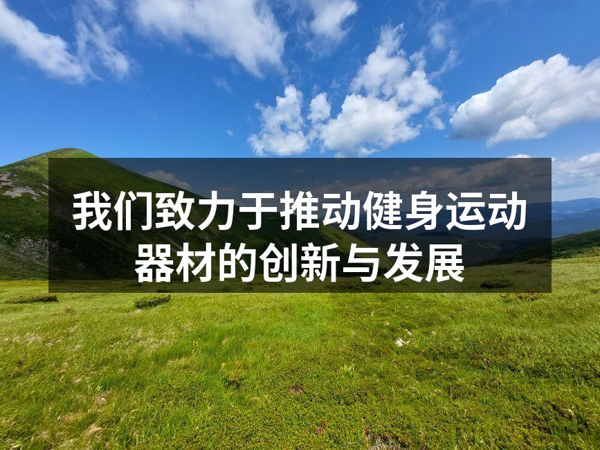 我们致力于推动健身运动器材的创新与发展